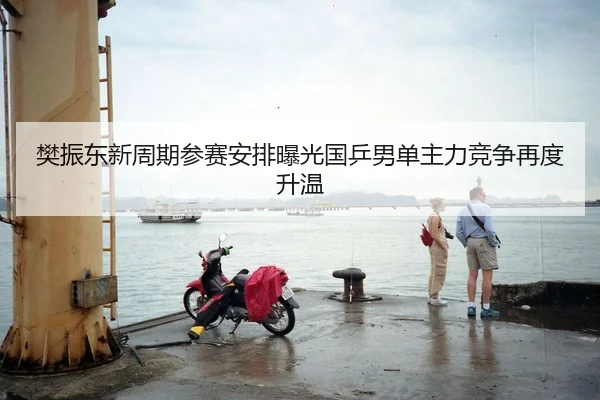 樊振东新周期参赛安排曝光国乒男单主力竞争再度升温